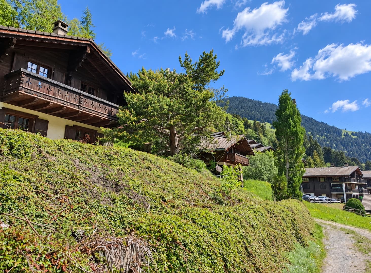Chalet à vendre — Morgins