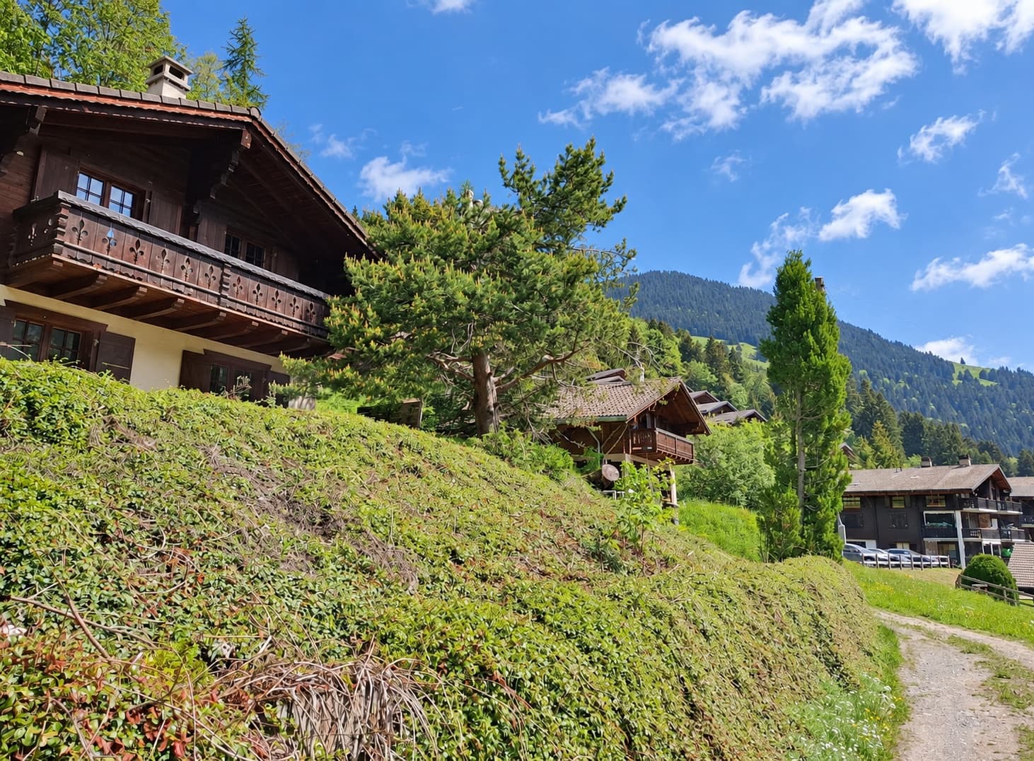 Chalet à rafraîchir — Morgins